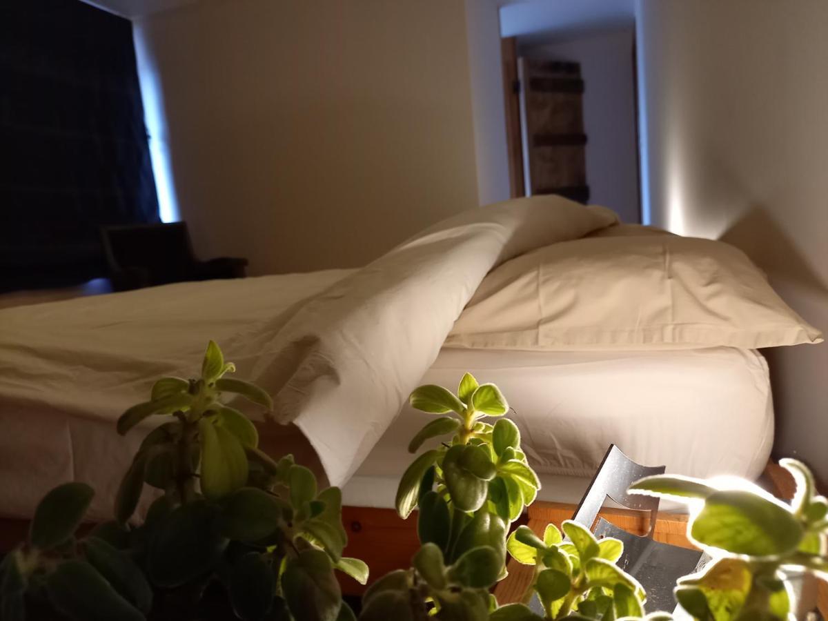 デュルビュイ Aux Saveurs D'Enneille Bed & Breakfast エクステリア 写真